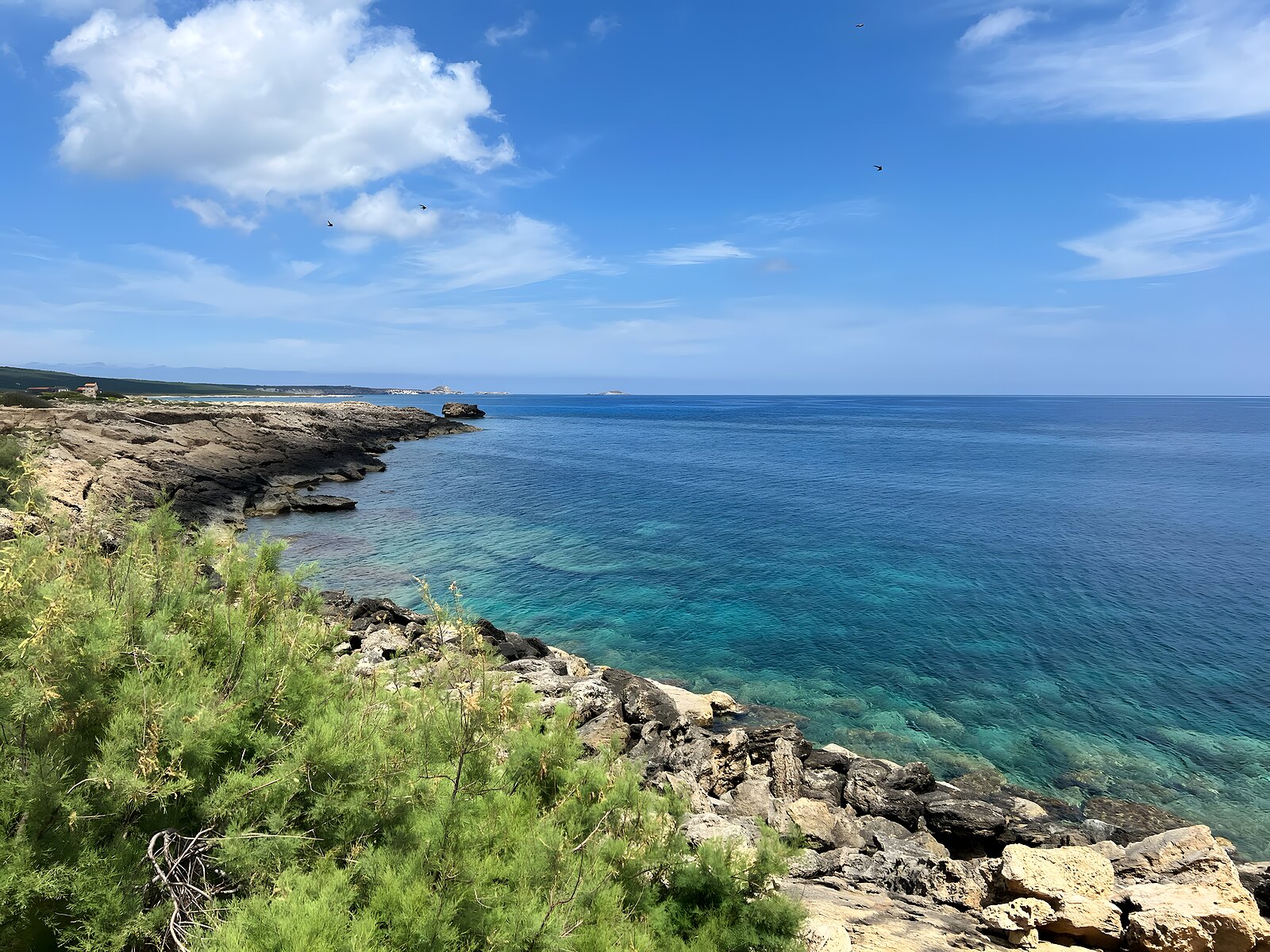Rocky coast with crystal-clear water