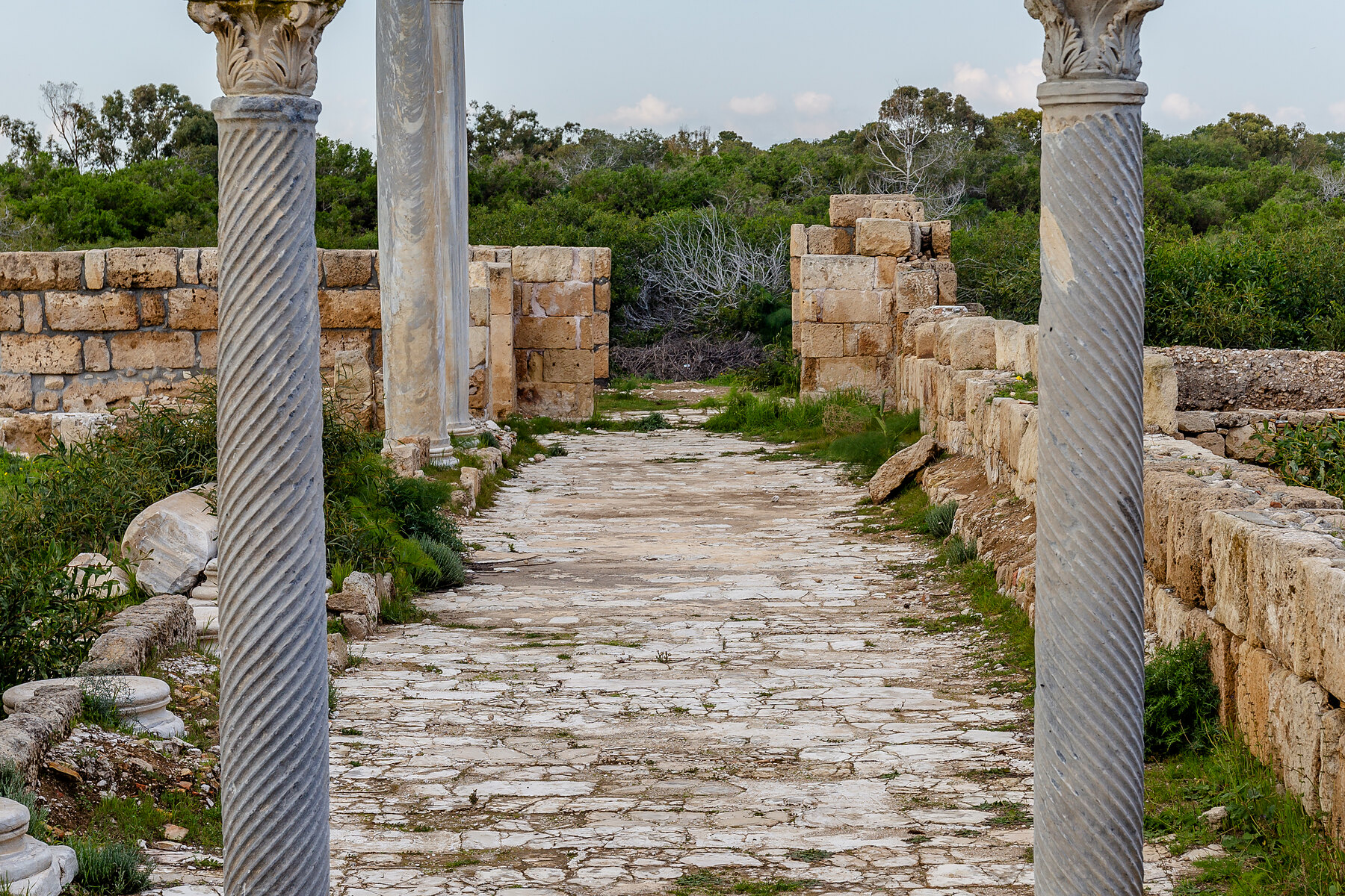 Ancient colonnade of the city of Salamis